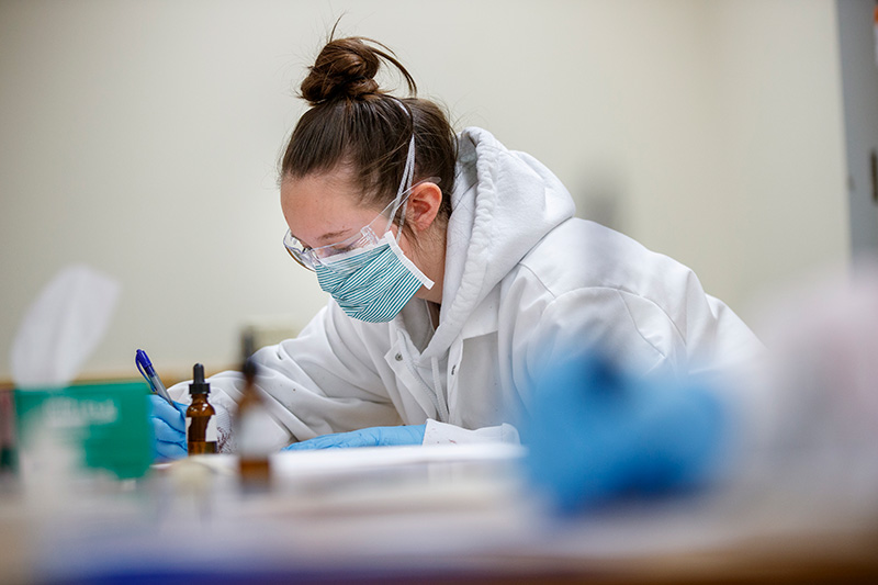 A student conducts research in a lab.