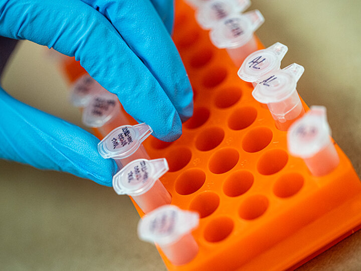 Forensic Biologist places a microcentrifuge tube into a holder